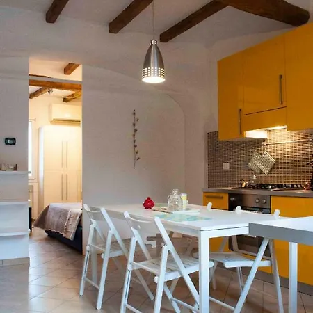 Yellow * Bolonia